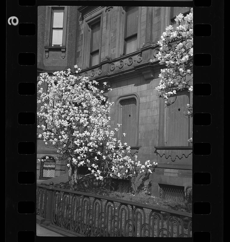 1 Commonwealth Avenue, Boston, Massachusetts