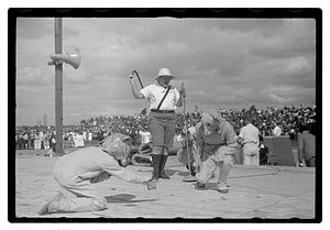 Boston Park Department circus event