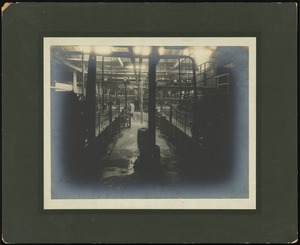 Textile (wool washing?) machinery in Richardson's Wool Washeries and Carbonising Works, Port Elizabeth, South Africa [graphic]