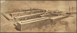 [Pacific Mills Cotton Department, Lawrence, Mass.] [graphic]