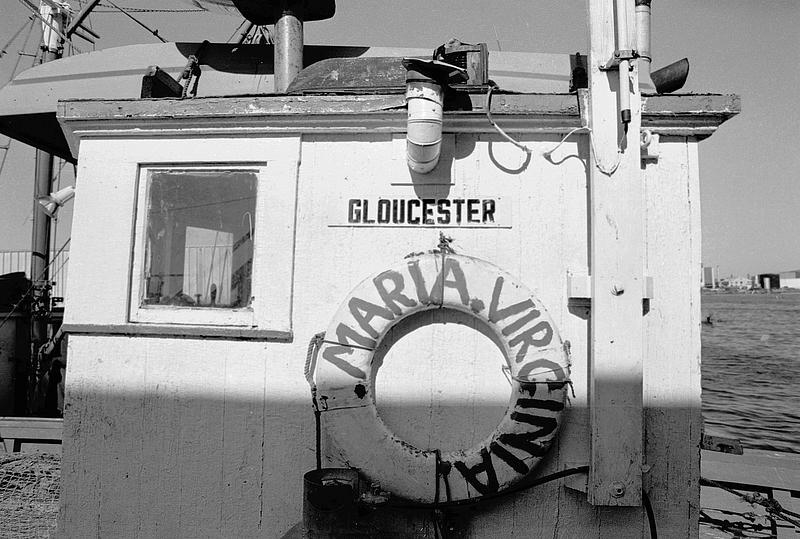 Gloucester, Maria Virginia - Digital Commonwealth