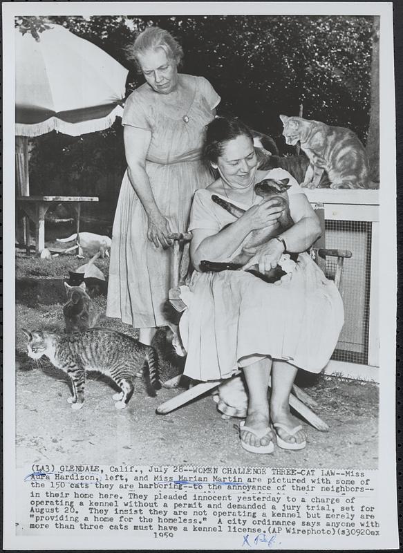 Women challenge three-cat law