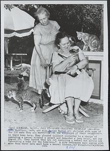 Women challenge three-cat law