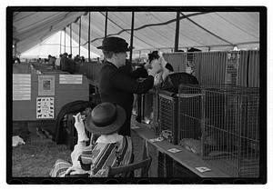Dog show municipal hunt club