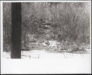 Elmore Street, Roxbury, Boston