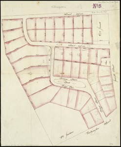 [Plan of house lots on Briggs Place, Newton]