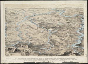 Stannard & Son's, perspective view, of the immediate seat of war & recent battle fields, shewing all the fortifications and natural barriers of the districts lying between the Rhine and Meuse, with the important passes of the Vosges and points d'appui of the two armies, the lines of defence and probable points of attack