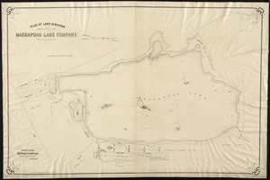 Plan of land in Sharon belonging to the Massapoag Lake Company