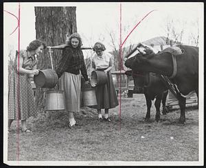 Maple Syrup Gathering has gone glamorous in Western Massachusetts. Visitors to be Mohawk and Taconic trails for syrup gathering days might run into such beauties as these shown above. Left to right are Lorraine Ferron, Marlene T. Belsky and Judith E. Garfalo.