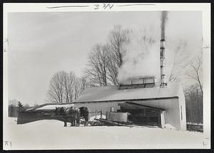"Sap House", where sap is boiled down to Maple Syrup.