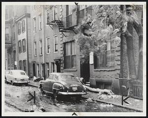 Wind Blown Tree -- Typical storm scene was at Joy St., Beacon Hill, where a tree crashed, damaging a parked car.