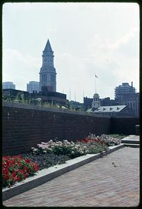 Flowers in the foreground, Boston Custom House Tower in background