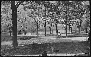 Frog Pond, Boston Common, woman with carriage