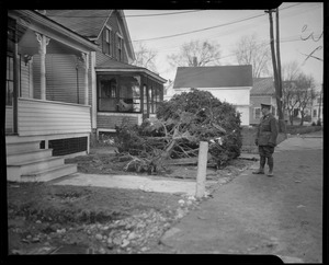 Man standing before a house with a fallen tree in front