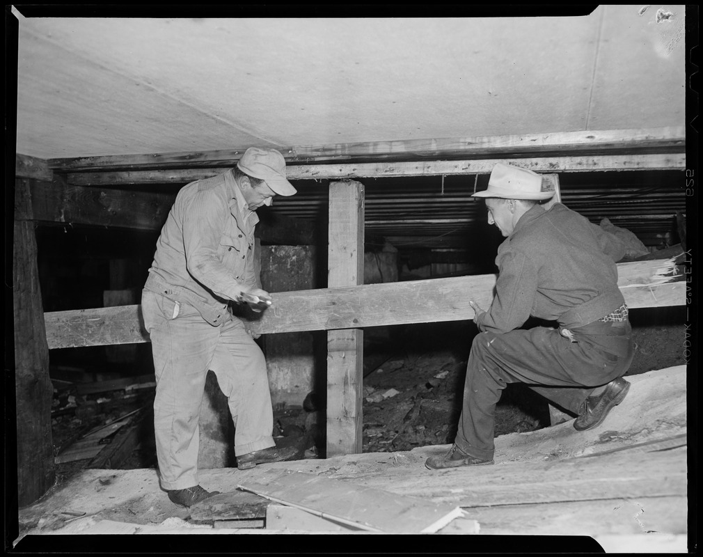 Two men installing plywood boards