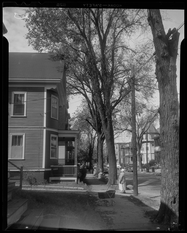 Street scene with a person pointing at tethered utility pole