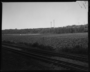 Train tracks with utility poles in background