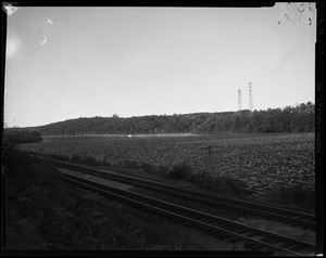 Train tracks with utility poles in background