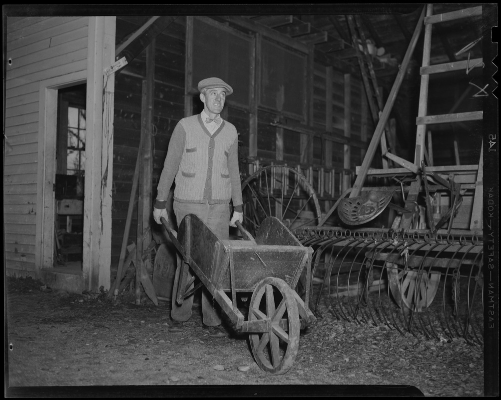 Leverett Saltonstall outside a barn, using a wheelbarrow