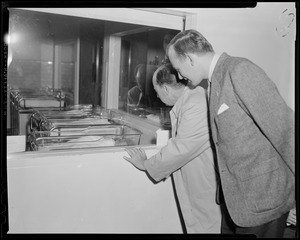 Adlai Stevenson and another man looking into the hospital nursery