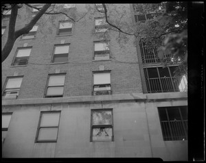 Building exterior with tree limb