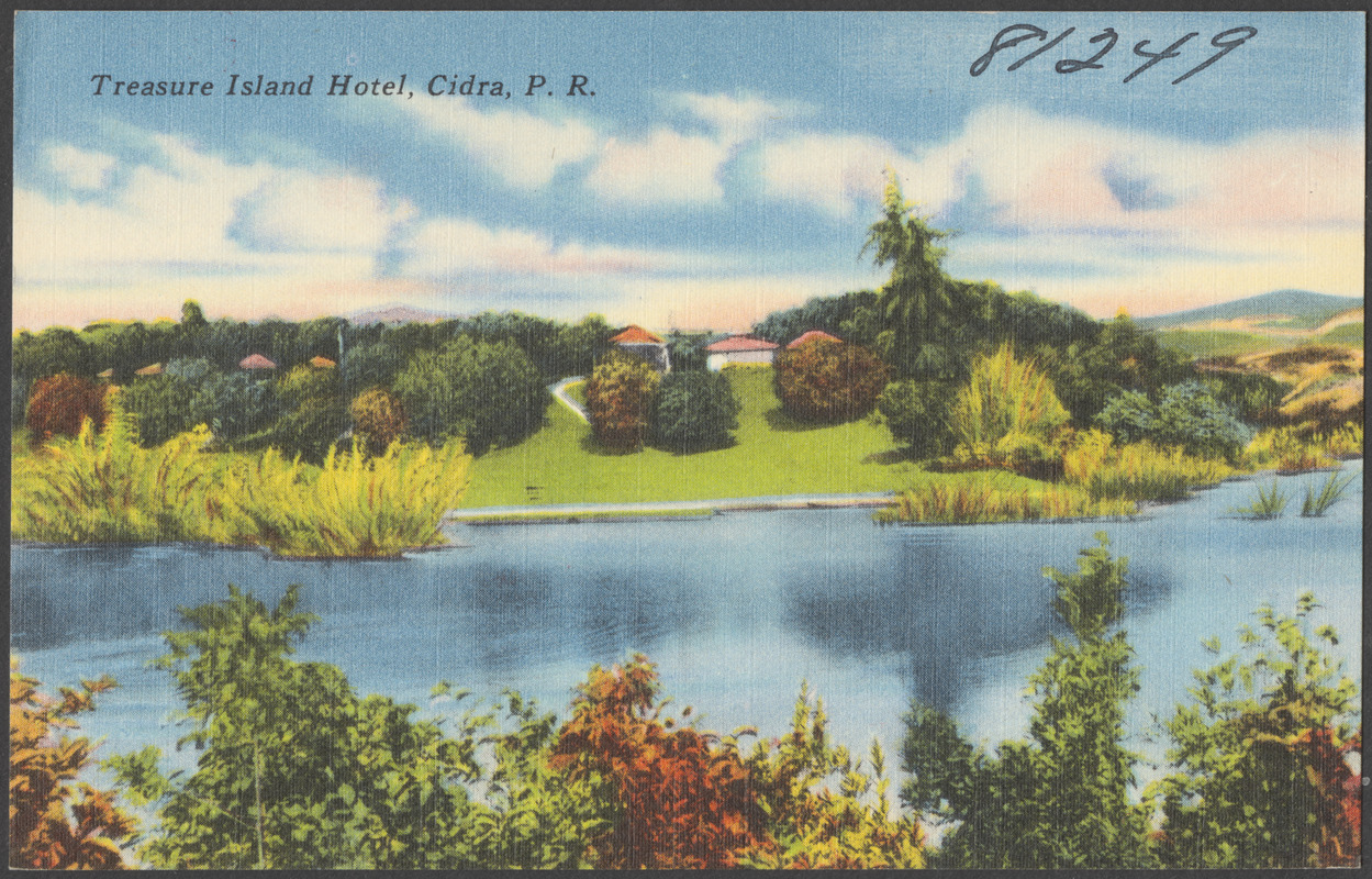 Treasure Island Hotel, Cidra, P. R.