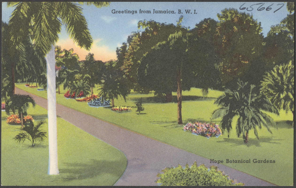Greetings from Jamaica, B.W.I. Hope Botanical Gardens