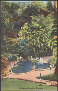 Greetings from Jamaica, B.W.I. Castleton Botanical Gardens
