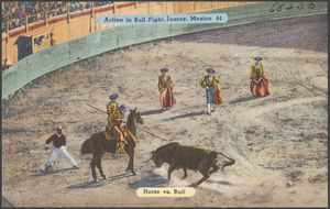 Action in bull fight, Juarez, Mexico. Horse vs. bull