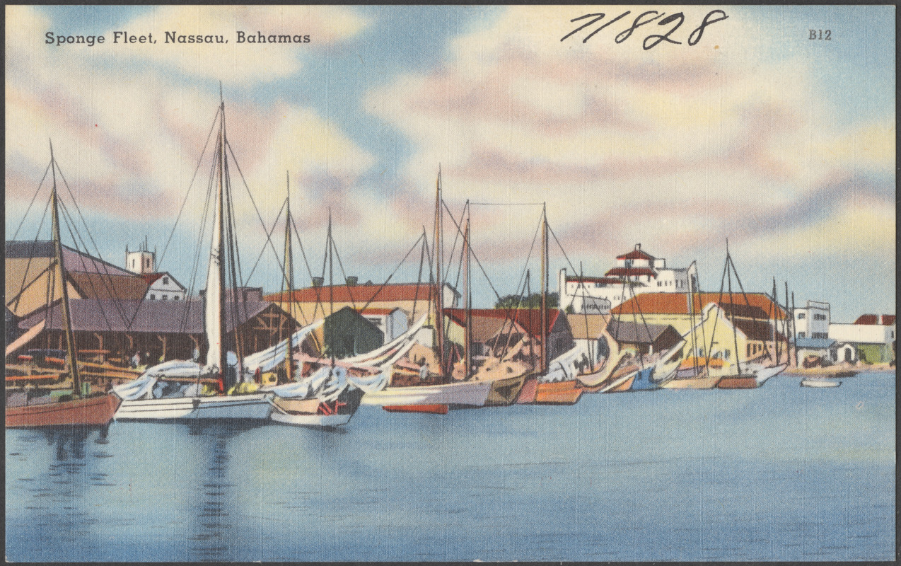 Sponge fleet, Nassau, Bahamas
