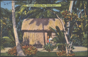 Typical country hut, Puerto Rico