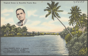 Tropical scene in beautiful Puerto Rico. Give Puerto Rico a chance: vote Alfred Muniz for International Director