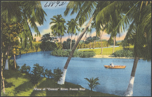 View of "Camuy" River, Puerto Rico