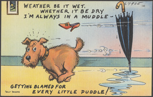 Weather be it wet, whether it be dry, I'm always in a muddle - getting blamed for every little puddle!
