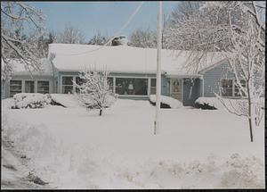 179 Chestnut Plain Road in winter
