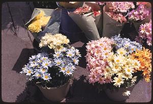 Artificial flowers, flower mart