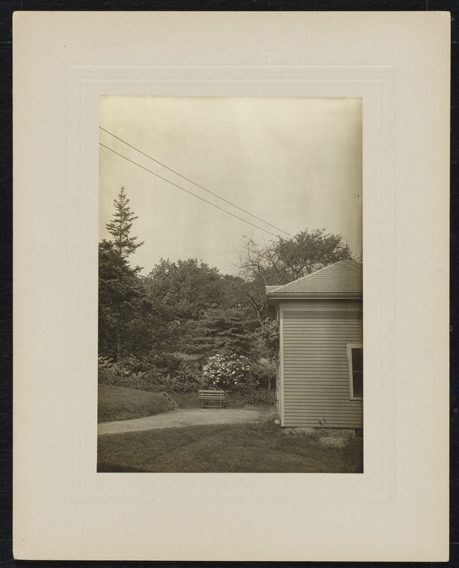 Newton Photographs Collection : Miscellaneous Newell family photographs, 1800s-1900s - House Obscured by Trees -