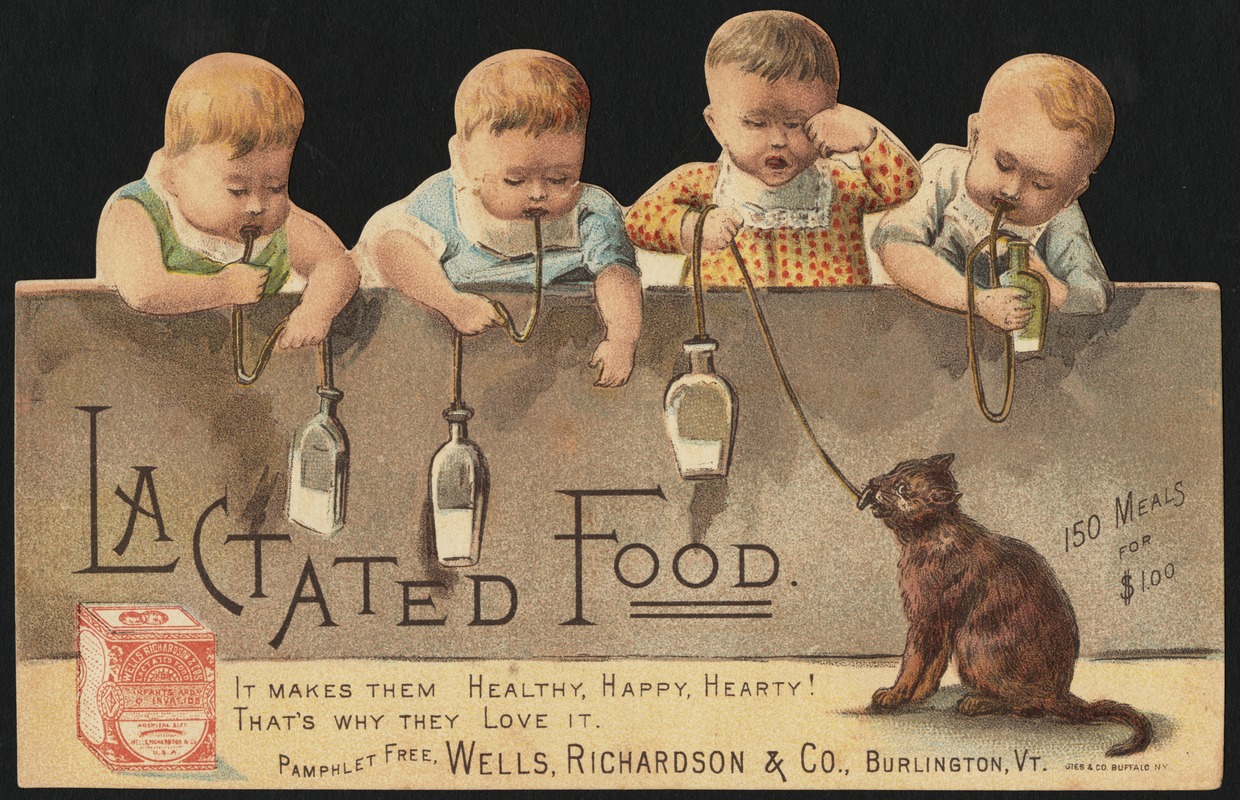 What are the babies after? Lactated Food.