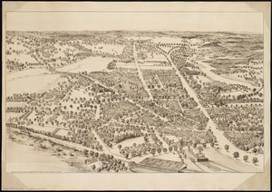 View of Dedham, Mass. in 1876