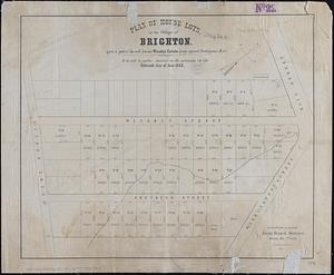 Plan of house lots in the village of Brighton