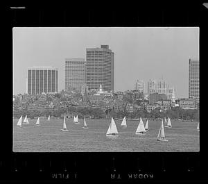 Sailboats on Charles River Basin, Beacon Hill in background, downtown Boston