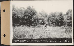 Contract No. 55, Portion of Petersham-New Salem Highway, Petersham, Franklin County (Worcester County?), looking northwest on property of Margaret Fiske, Petersham from Sta. 397+50, Franklin County, Mass., Jul. 9, 1936