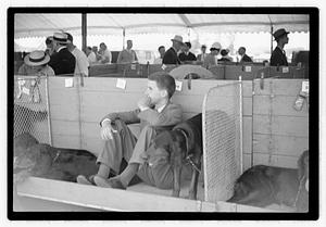 Dog show municipal hunt club
