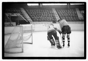 Boston Bruin hockey team