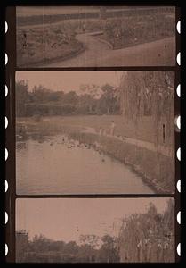 People walking on a path by a body of water