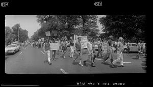 Gay rights parade on Commonwealth Avenue, Back Bay, Boston