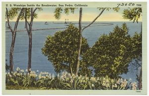 U. S. Warships Inside the Breakwater, San Pedro, California