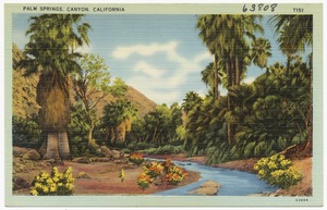Palm Springs, Canyon, California