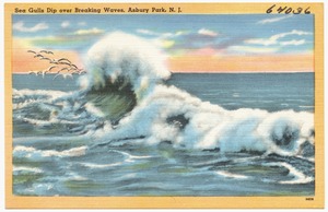 Sea gulls dip over breaking waves, Asbury Park, N. J.