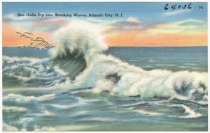 Sea gulls dip over breaking waves, Atlantic City, N. J.
